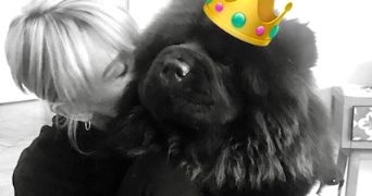 annabelle pet sitter à SURESNES 92150_2