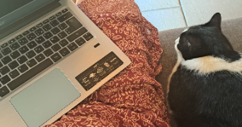 camille pet sitter à lyon 69008_18