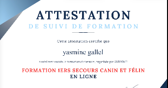 yasmine pet sitter à GIERES 38610_4