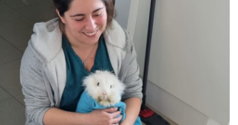 julie pet sitter à CHANTONNAY 85110_2