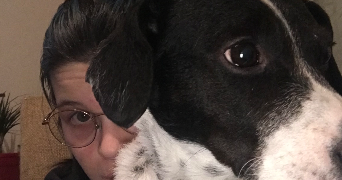 tenessee pet sitter à VALENCIENNES 59300_3