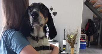 christelle pet sitter à ST AMAND LES EAUX 59230_3