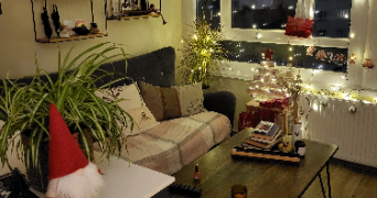 ilona pet sitter à LYON 07 69007_2