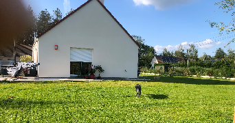 agnès pet sitter à VANNES SUR COSSON 45510_5