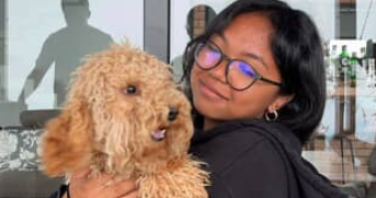 kaloina pet sitter à ROUBAIX 59100_1