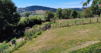 marie pet sitter à DEUX GROSNES 69860_2