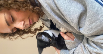 alice pet sitter à GERMIGNY L EVEQUE 77910_1