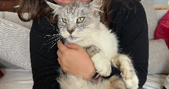 marion pet sitter à LES SORINIERES 44840_3