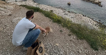 louis pet sitter à SALON DE PROVENCE 13300_2