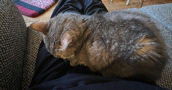 madeleine pet sitter à PARIS 18 75018_5