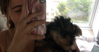 victoria pet sitter à SAUSHEIM 68390_2