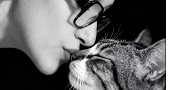 dominique pet sitter à AGEN 47000