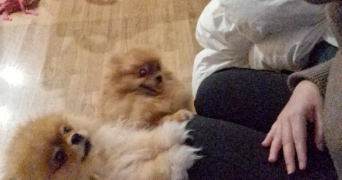 inès pet sitter à BESANCON 25000_2