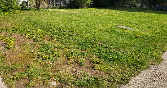 céline pet sitter à Fenain 59179_2