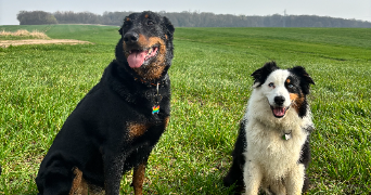 clémentine pet sitter à PARIS 13 75013_3
