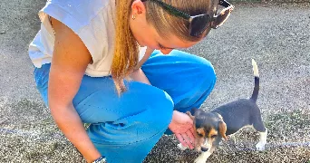lou pet sitter à RENNES 35000