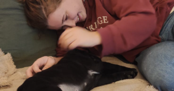 solenn pet sitter à CONFLANS STE HONORINE 78700_0
