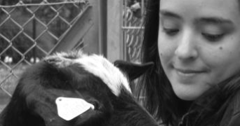 sabine pet sitter à TOURS 37000_1
