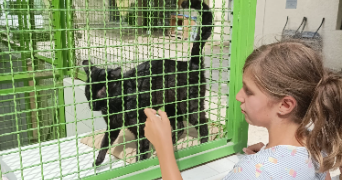 florence pet sitter à CALUIRE ET CUIRE 69300_3