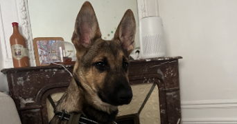 camille pet sitter à PARIS 12 75012_2