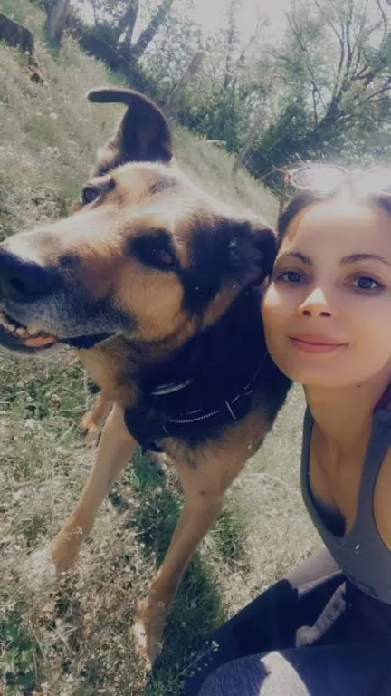 Elodie pet sitter à Serre-les-Sapins 25770