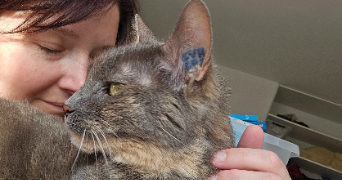 jennifer pet sitter à ORVILLIERS 78910_2