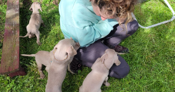 manon pet sitter à NANCY 54000_3