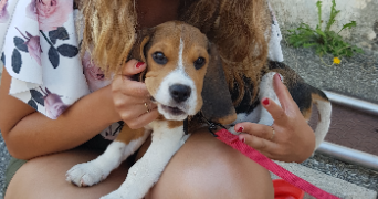 camille pet sitter à HODENC L EVEQUE 60430_7