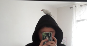 emilie pet sitter à ROCHESERVIERE 85620_2