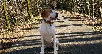 pauline pet sitter à CARLUX 24370_1