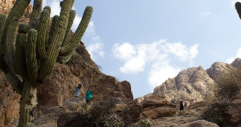 sarah pet sitter à PARIS 18 75018_2
