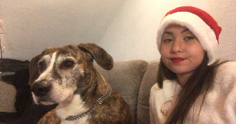 inès pet sitter à Strasbourg 67200_7