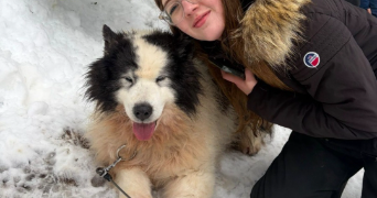 pauline pet sitter à DUNKERQUE 59240_2