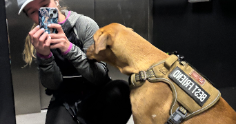 claire pet sitter à PARIS 09 75009_4
