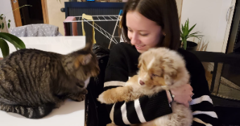 léonie pet sitter à ST MICHEL EN L HERM 85580_2