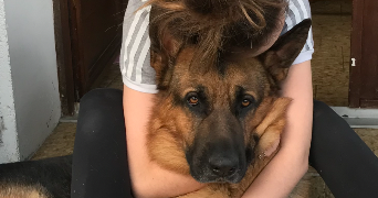 celine pet sitter à RUMILLY 74150_1