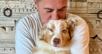 damien pet sitter à NICE 06200_0