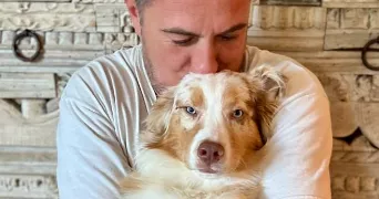 damien pet sitter à NICE 06200