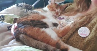 margaux pet sitter à LE BIGNON 44140_5