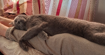 gabrielle pet sitter à CRETEIL 94000_3