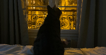 sophie pet sitter à Paris 75015_3