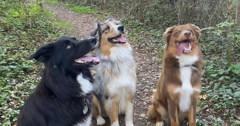 esther pet sitter à Nîmes 30000_2