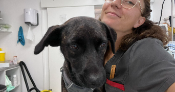 anna pet sitter à SCIEZ 74140_2