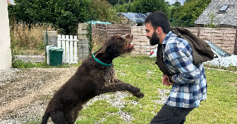 yvon dog sitter à RENNES 35000_1