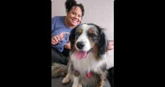 indra et meï-yan pet sitter à LYON 03 69003_8