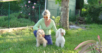 elisandre dog sitter à Le Buisson de Cadouin 24480_2