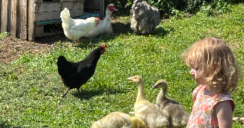 anna pet sitter à HEIMERSDORF 68560_2