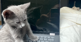 adèle pet sitter à BESANCON 25000_1