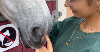 leila pet sitter à LAVAL 53000_6