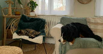 lisa pet sitter à TOURCOING 59200_2